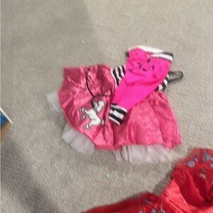10 dress up dresses. 1 stain on Cinderella dress. pet free, smoke free home.